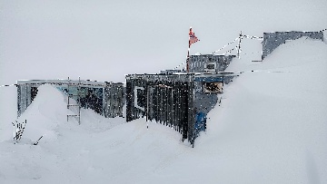 Приют Ветер