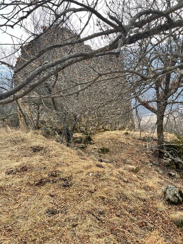 Ког