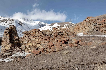 Башенный комплекс Тли