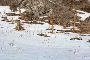Старая церковь с захоронением