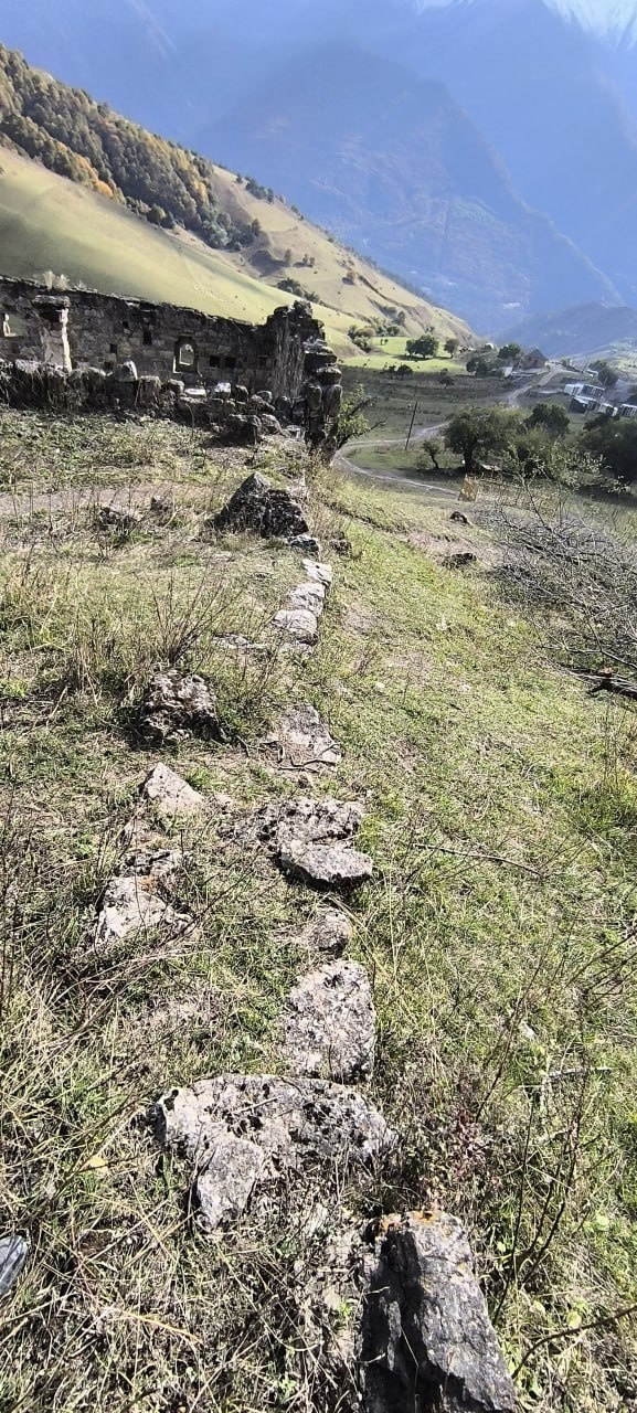 Сотрудники музея-заповедника в рамках плана работ по выявлению и учету ранее неучтенных объектов культурного наследия нашли на территории башенного комплекса «Бейни» ранее не учтенные основания 5 жилых башен с сохранившимися фрагментами стен и 1 подземный могильник с циклопической кладкой камня, обладающие признаками объектов культурного наследия.

По предварительным данным, одна из выявленных жилых башен расположена между двумя другими, образуя закрытый внутренний двор. Вход в этот двор находится с одной стороны, а выход — с другой. В башенных поселениях жилые башни часто располагались группами по фамильным кварталам вместе с пристройками и заградительными стенами.

Остальные 4 жилые башни распределены по всему комплексу. Некоторые из них сохранили арочные камни, отверстия для балок, одна башня сохранила три входных проема. 

Подземный могильник расположен в центре поселения. Входной проем открыт, сквозь который можно разглядеть костные останки. Прямо за этим могильником находится небольшое помещение, которое по внешнему виду напоминает поминальную камеру. Однако для точного определения его назначения необходимо провести археологические раскопки.

Полевые исследования на этом объекте, включающие выявление, описание, измерение и фотографирование, еще не завершены. Работы будут продолжены в ближайшее время.

Башенный комплекс «Бейни» расположен у подножия горы Маьт-Лоам. На стенах и дверных проемах у жилых башен можно видеть линейные петроглифы и другие изображения.
