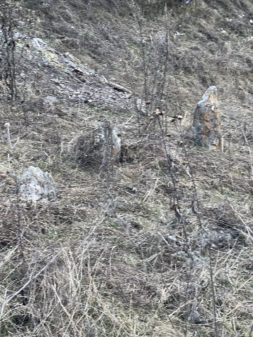 Раннемусульманское кладбище №1 в Тумги 