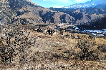 Бархане
