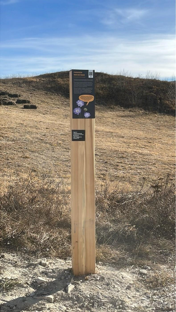 Информационный столб