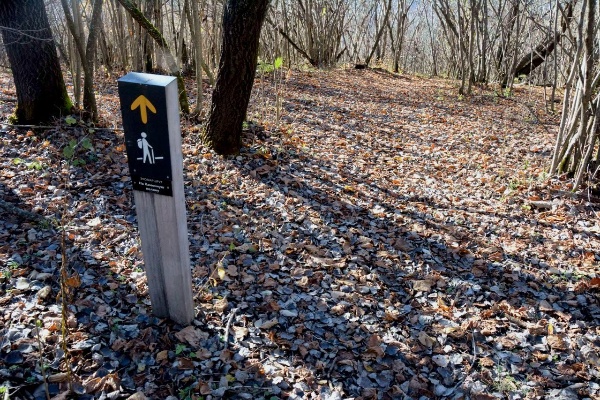 Типы объектов для маршрутов.

В систему добавлены новые типы для объектов, преимущественно расположенных на оборудованных туристических тропах:

Навигация — для обозначения столбов, табличек, меток, содержащих информацию о местоположении и направлениях движения.

Информация — присваивается информационным стендам, столбам, табличкам, если они содержат важную и полезную информацию.

Смотровая площадка — назначается местам, с которых открывается примечательный вид, часто на другие объекты, находящиеся на удалении. 

Место отдыха — для обозначения мест специально оборудованных и предназначенных для отдыха (беседки, лавки) или лагеря.

Родник — присваивается природным источникам питьевой воды.

У каждого типа есть своё графическое обозначение, уникальные параметры и алгоритмы реагирования.

Типы объектам назначаются администраторов территории при создании объекта.