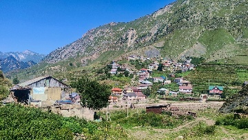 Кенхи