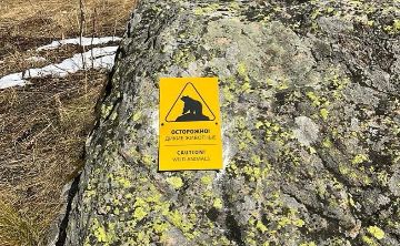 Знак «Осторожно! Дикие животные»