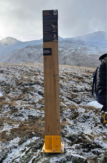 Информационный столб