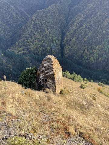 Абали