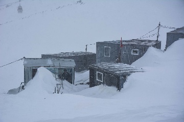 Приют Ветер