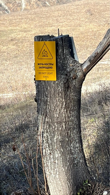 Знак «Жечь костры запрещено»