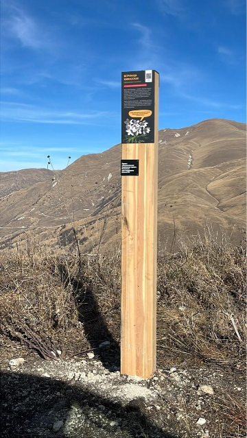 Информационный столб