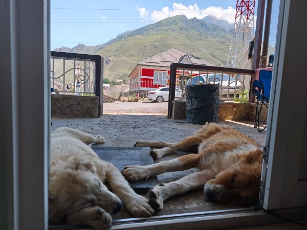 Тащим из чатиков команды исключительно теплые моменты на гонке Caucasus ultra trail.

Гонка в самом разгаре
За сегодня без DNF! 

Погода на Кавказе солнечная. 
В горах без осадков.
Лидеру до финиша один рывок!

Приезжайте встречать финишеров самой длинной гонки Кавказа на озеро Гижгит.

Смотровая площадка Кабардино-Балкарская Республика, Эльбрусский район, сельское поселение Былым
https://yandex.ru/maps/org/smotrovaya_ploshchadka/230540166205?si=nwarcxcc37n9wv1pmvkr4ujnbg