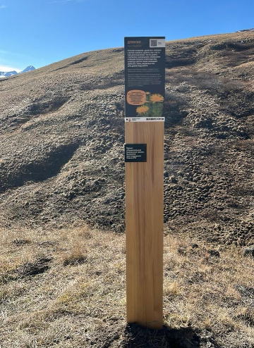 Информационный столб