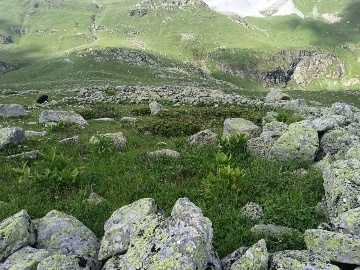 Каменное сооружение