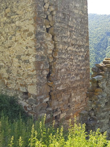 Тарш