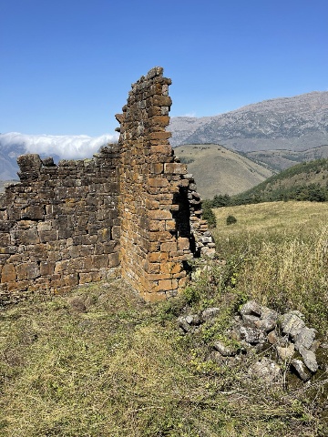 Кокки