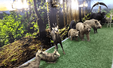 Замковый комплекс Пхъакоч