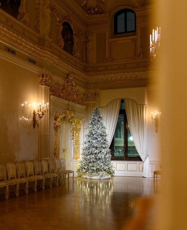 В декабре и январе в Особняке Мясникова на улице Восстания, 45 в Петербурге пройдет рождественский маркет "Волшебная страна грез".

Впервые первый этаж особняка будет посвящен ювелирному искусству Костромы - родины Снегурочки и ювелирной столицы России. Также для гостей будет открыта Красная гостиная на первом этаже, в которой пройдут мастер-классы и лекции об искусстве и моде.

Маркет от Особняка Мясникова, а отреставрированные интерьеры от команды "АСМ".