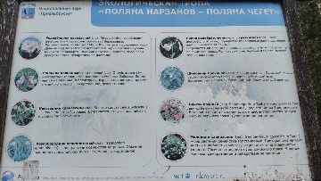Информационный стенд