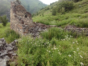 Средний Ляжг