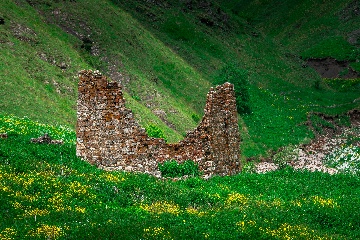 Гул
