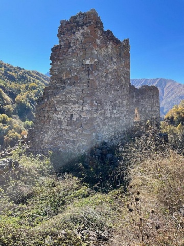 Кашети
