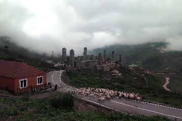 Шарой
