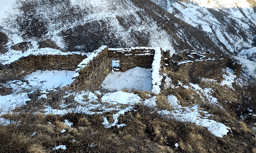 Шикаройский башенный комплекс