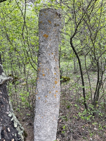 Три стелы вблизи Таргимских храмов