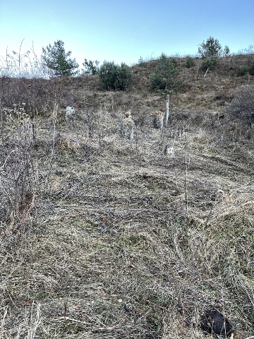 Раннемусульманское кладбище №3 в Тумги 