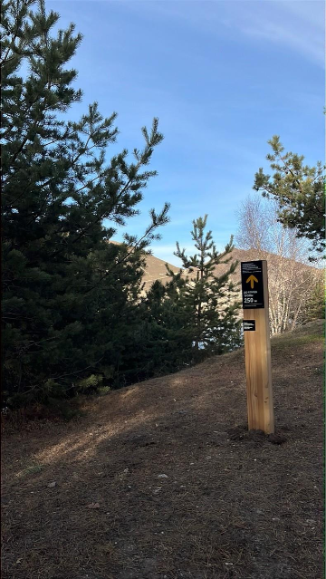 Навигационный знак