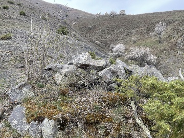 Ядрообразный мавзолей №2 в Тарш 