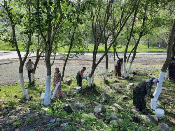 В селе Итум-Кали в преддверии праздника Дня Итум-Калинского района прошел очередной субботник. 

Были проведены работы по побелке и обрезке деревьев, уборке территории. В мероприятии приняли участие работники администрации района, сельских поселений, представители общественных организаций и обычные жители Итум-Кали.
