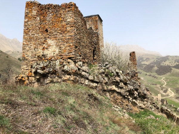 Башенный комплекс «Аршауг» расположен в Джейрахском районе, в 0,3 км западнее Цори, на гребне горного кряжа, высотой 40-50 метров.

Комплекс состоит из сильно поврежденных и полуразрушенных 1 боевой и 7 жилых башен, а также каменной ограды, 6 надгробных сооружений, 2 оборонительных стен, 3 коллективных усыпальниц, стел и руин каменных построек.

Боевая и жилые башни ранее, с помощью каменной оборонительной стены, были объединены в единый замковый комплекс периода позднего средневековья.

Боевая башня в плане прямоугольная, пятиэтажная, имела плоскую кровлю с зубчатым завершением, сохранилась на всю высоту, ориентирована на запад.

Жилые башни в основании прямоугольные, некогда трехэтажные, с плоской кровлей и высоким парапетом. На них сохранились разнотипные дверные и оконные проемы, линейные углубления для деревянных настилов, а также ниши, тайнички и другие конструктивные детали.

С холма, на которой расположен Аршауг открывается живописный вид на башенный комплекс Цори.

Аршауг – выявленный объект культурного наследия республики Ингушетии, находится в границах территории Джейрахско-Ассинского музея-заповедника, подлежит государственной охране.
