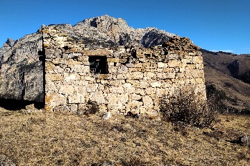 Тори