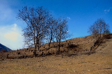 Раннемусульманское захоронение в Ведучи