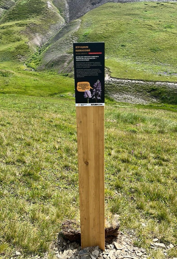 Информационный столб