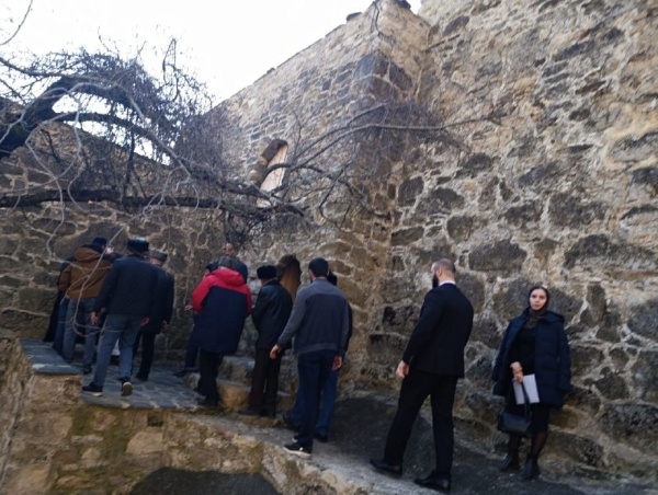 27 ноября 2025 г. руководитель Комитета Государственной охраны объектов культурного наследия Кодзоев Т. У. и и.о. директора ГКУ «Джейрахско-Ассинский музей-заповедник» Сампиев А.А. приняли участие в мероприятии по случаю завершения реставрационных работ башенного комплекса «Кели», в ходе которых был восстановлен исторический ансамбль, состоящий из одной боевой и четырех жилых башен.

Работы велись высококвалифицированными специалистами по проектно-сметной документации, утвержденной Правительством Республики Ингушетия при финансовой поддержке благотворительных фондов «САФМАР» и «Возрождение».

Ранее, в рамках плана работы по надзору за проведением реставрационных, консервационных и противоаварийных работ, направленных на сохранение историко-архитектурных объектов горной Ингушетии, руководители компетентных организаций совершали инспекционные обходы данного комплекса, по итогам которого нарушения не выявлялись – все работы велись в соответствии с установленными нормами и стандартами.  