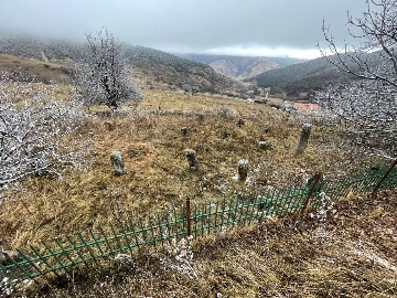 Раннемусульманское кладбище в Верхнем Оздик