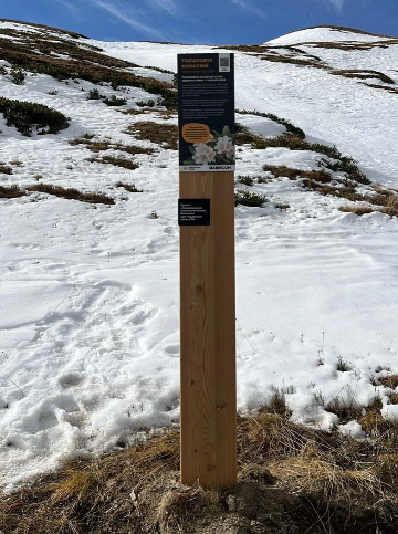 Информационный столб