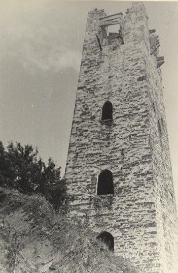 Институт археологии Российской академии наук передал историкам "АСМ Групп" археологические отчеты М.Б.Мужухоева, где среди страниц обнаружены уникальные снимки 1971 года Башенного комплекса "Башни двух жен" в горной Ингушетии.