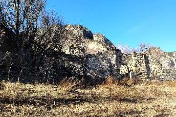 Тори