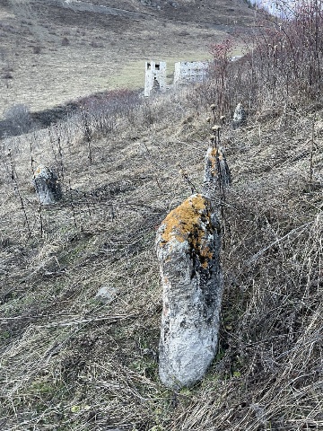 Раннемусульманское кладбище №3 в Тумги 