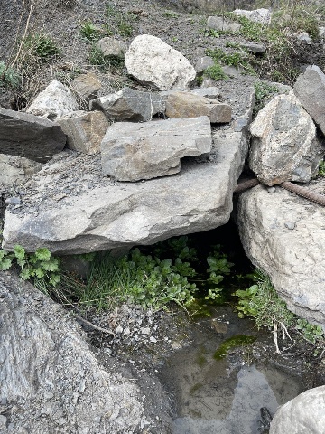 Родник в Тарш