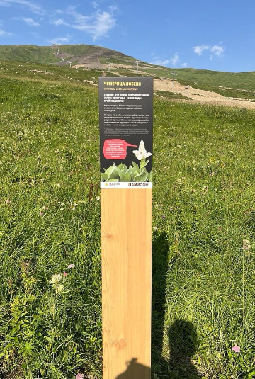 Информационный столб