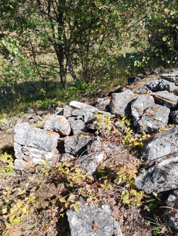 На территории комлекса «Лялах» обнаружена ранее не известная склеповая гробница.

Сотрудники музея-заповедника во время очередного обхода на территории «Лялах» - крупного башенного комплекса замкового типа, обнаружили ранее не известную наземную склеповую гробницу в руинированном виде.

Усыпальница находится на склоне горы, в юго-западном направлении от башен, в лесном массиве. Как известно, склеповые могильники возводились на окраинах поселений, на горных склонах.

Склеп полностью разрушен, сохранились лишь юго-западный и юго-восточный углы на высоту 0,7 и 0,8 м. Объект в плане прямоугольный, в основании имеет размеры 2,70 х 4,60, сложен из тесанного белого камня.

Для определения датировки объекта, выяснения наличия или отсутствия костного материала и воссоздания конструктивных особенностей сооружения требуются дальнейшие исследовательские работы.

Напомним, что  ранее, в ноябре прошлого года  на территории комплекса также были обнаружены коллективные гробницы подземного типа.