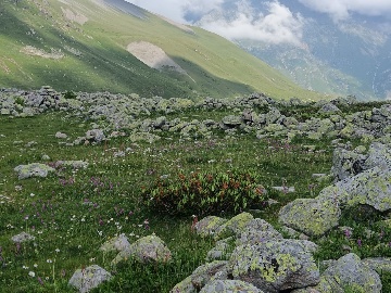 Каменное сооружение