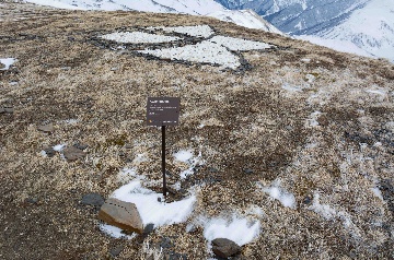 Арт объект Колокольчик