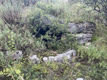 Город мёртвых